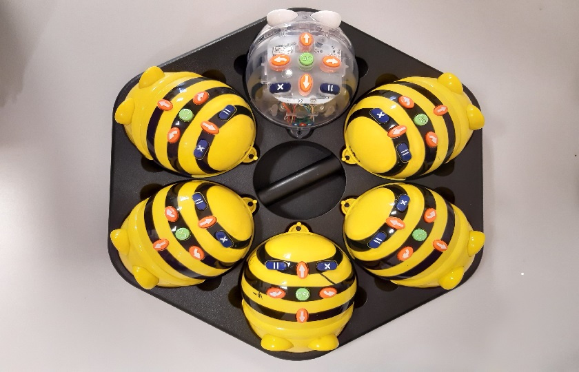 6 Beebots in tray